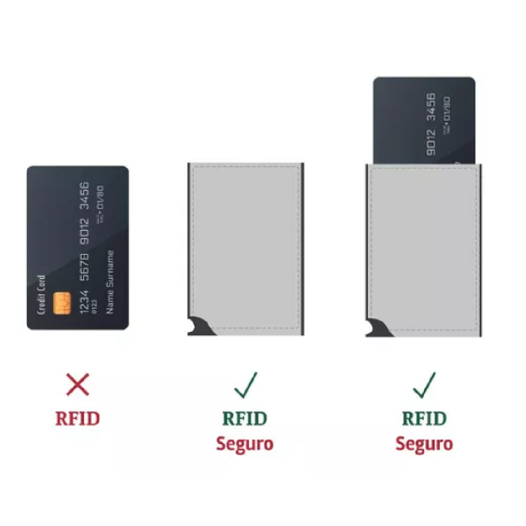 PACIFICO Simple Blue